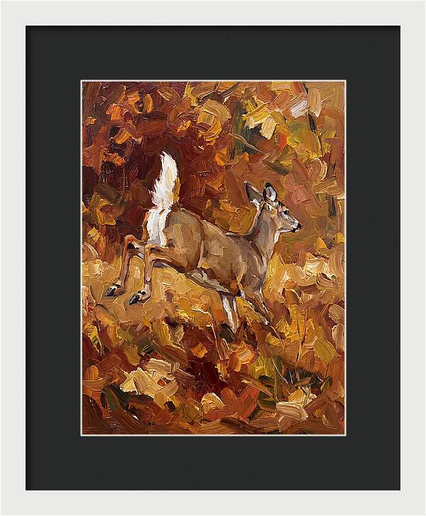 White Tailed Deer In Autumn