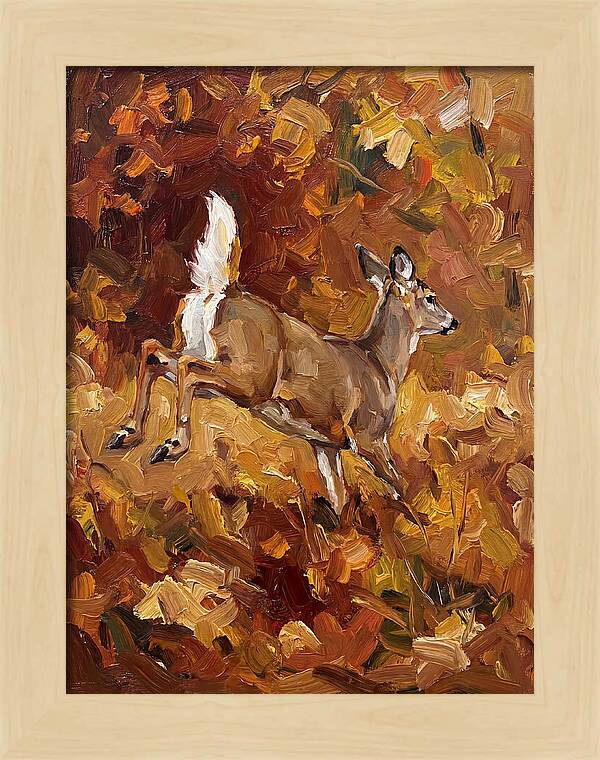 White Tailed Deer In Autumn
