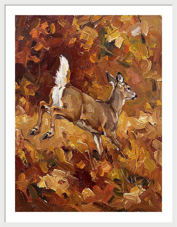 White Tailed Deer In Autumn