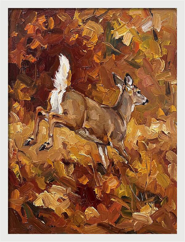 White Tailed Deer In Autumn
