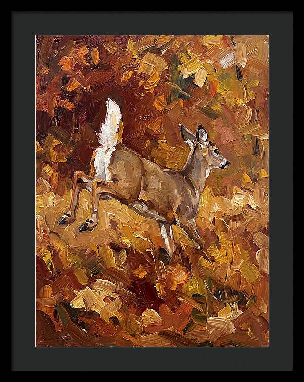 White Tailed Deer In Autumn
