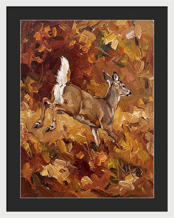 White Tailed Deer In Autumn