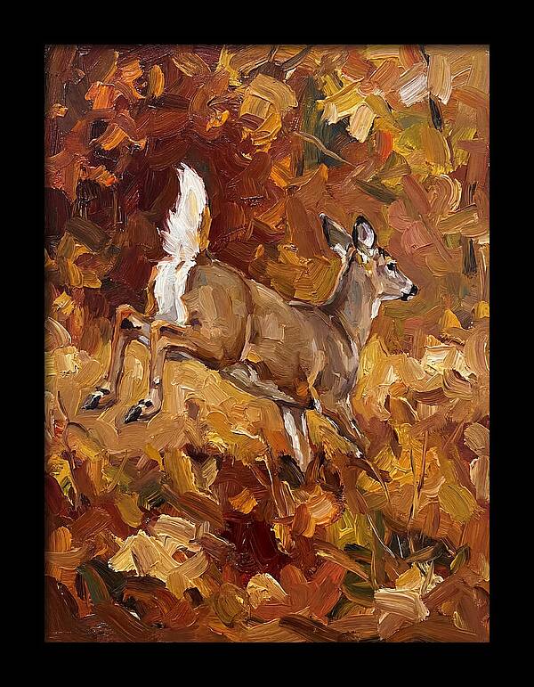 White Tailed Deer In Autumn