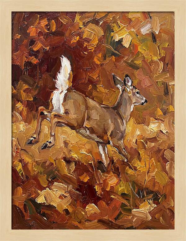 White Tailed Deer In Autumn