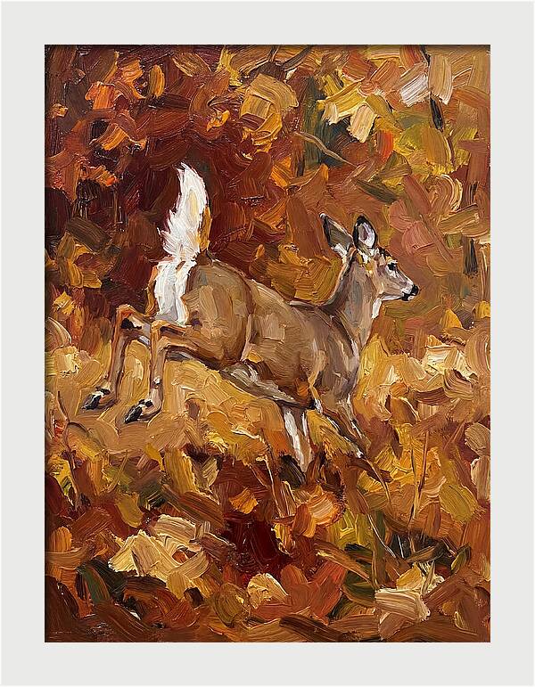 White Tailed Deer In Autumn