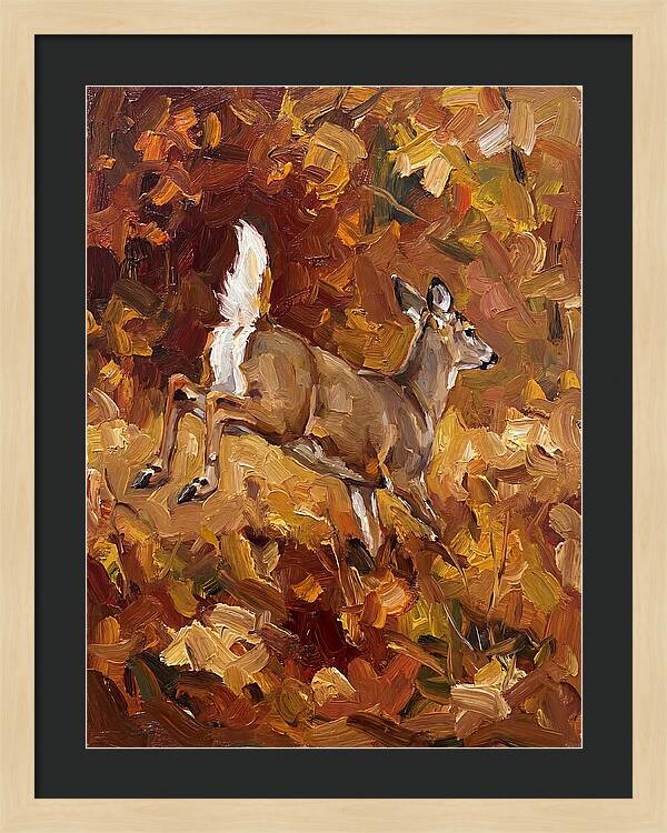 White Tailed Deer In Autumn