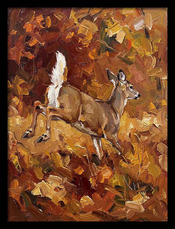 White Tailed Deer In Autumn