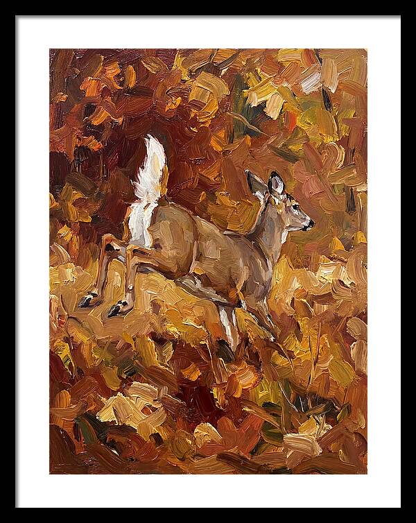 White Tailed Deer In Autumn