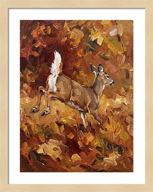 White Tailed Deer In Autumn