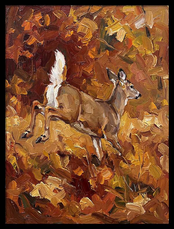White Tailed Deer In Autumn