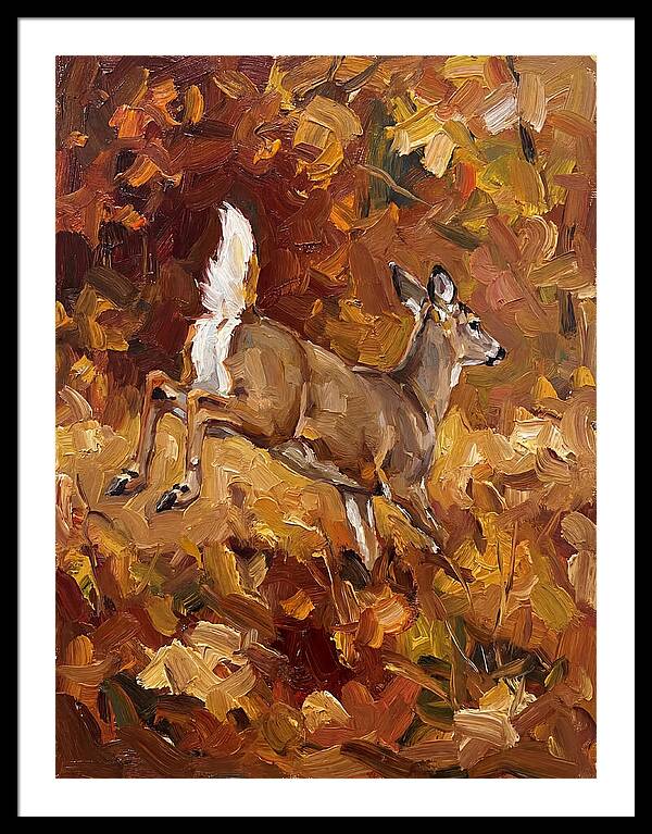 White Tailed Deer In Autumn