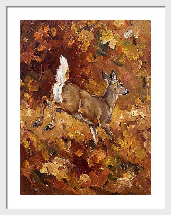 White Tailed Deer In Autumn