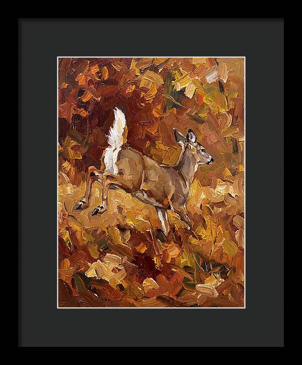 White Tailed Deer In Autumn