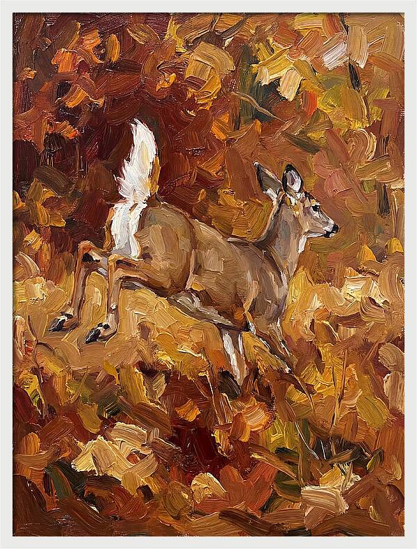 White Tailed Deer In Autumn