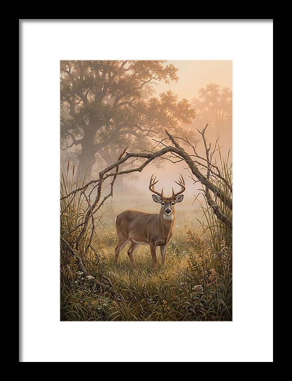 White Tailed Deer In Morning Mist