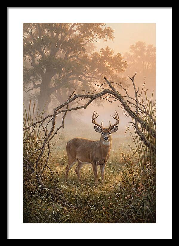 White Tailed Deer In Morning Mist