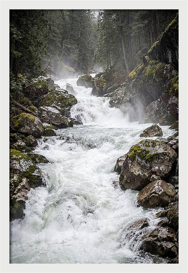 White Water Rapids