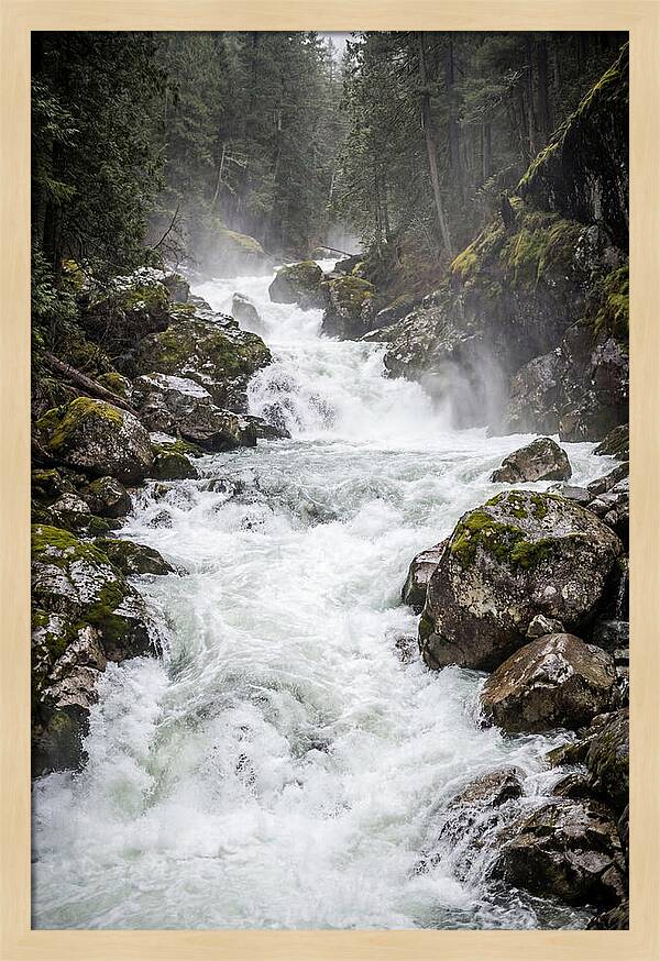 White Water Rapids