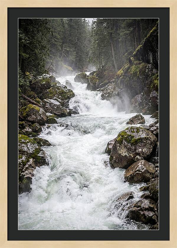White Water Rapids