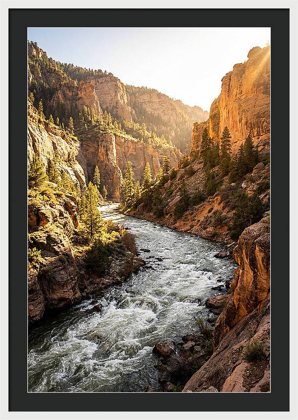 Whitewater River Serenity