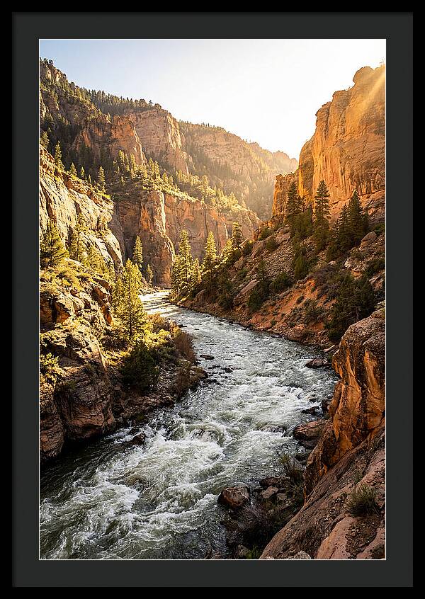 Whitewater River Serenity