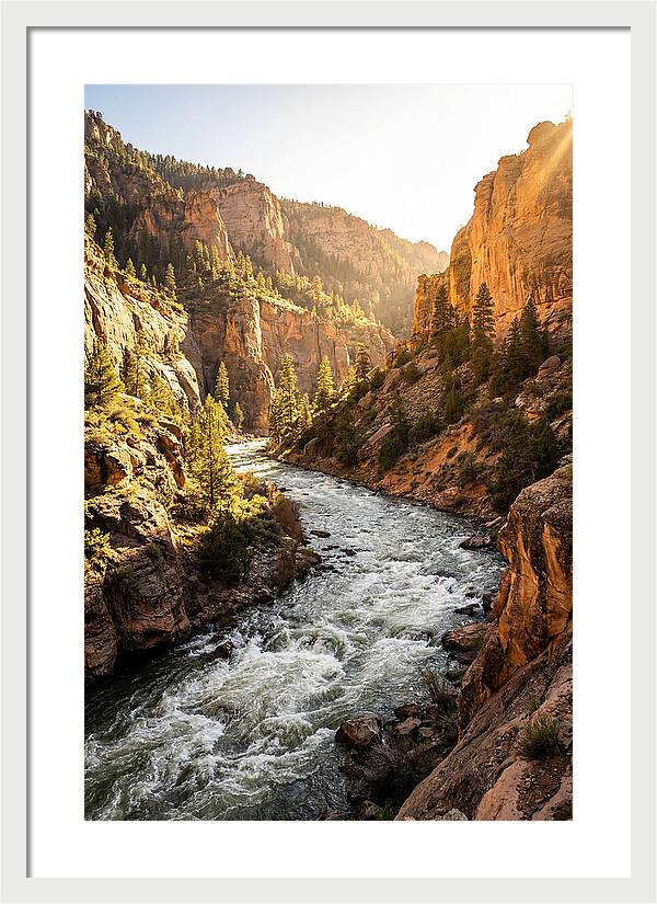 Whitewater River Serenity
