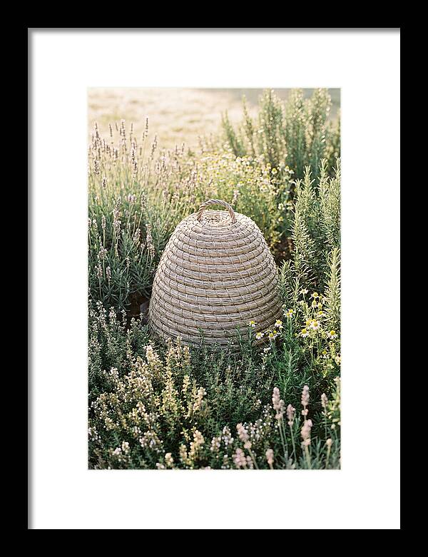 Wicker Bee Skep Surrounded By Herbs