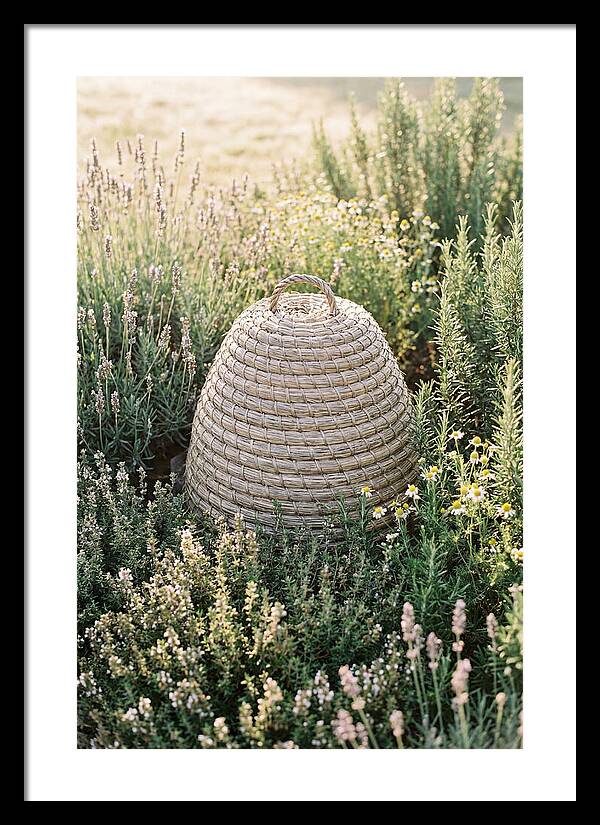 Wicker Bee Skep Surrounded By Herbs