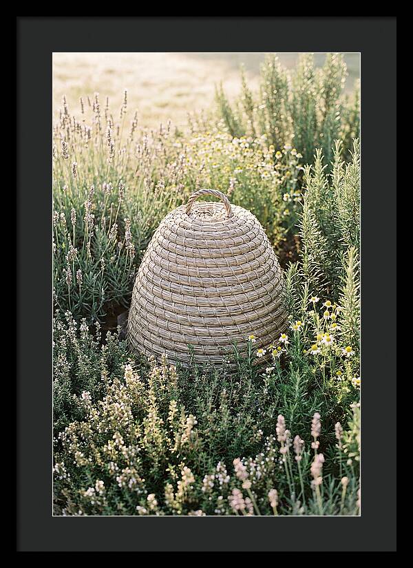 Wicker Bee Skep Surrounded By Herbs