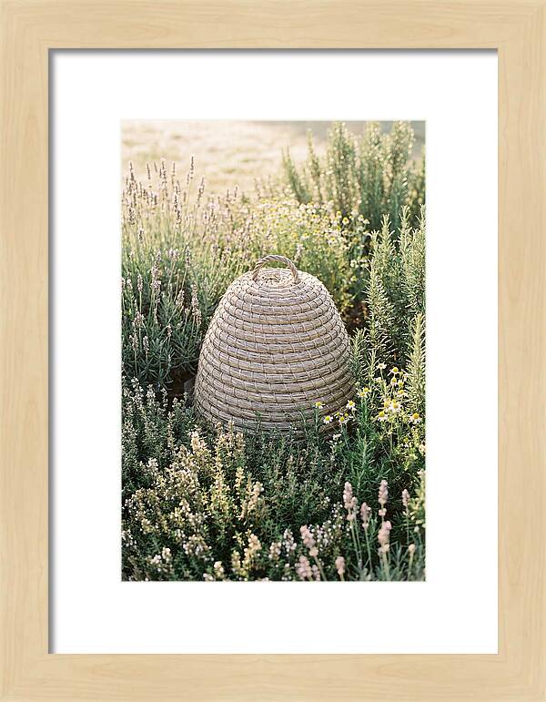 Wicker Bee Skep Surrounded By Herbs