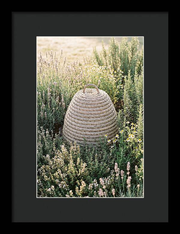 Wicker Bee Skep Surrounded By Herbs
