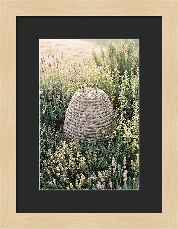Wicker Bee Skep Surrounded By Herbs