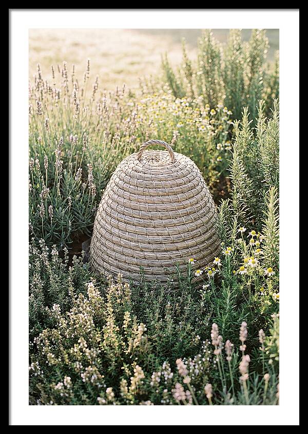 Wicker Bee Skep Surrounded By Herbs
