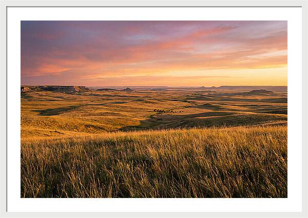 Wide Open Prairie Sunset