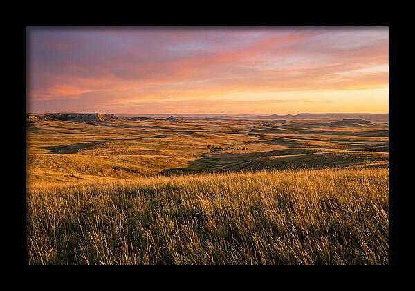 Wide Open Prairie Sunset