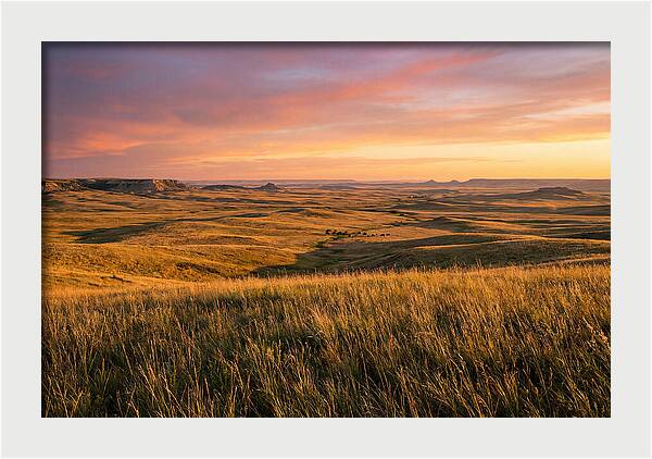 Wide Open Prairie Sunset