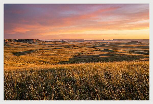 Wide Open Prairie Sunset