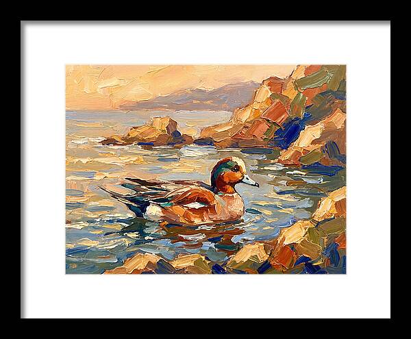 Wigeon In Mediterranean Waters