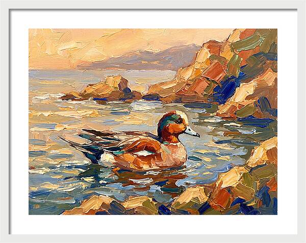 Wigeon In Mediterranean Waters