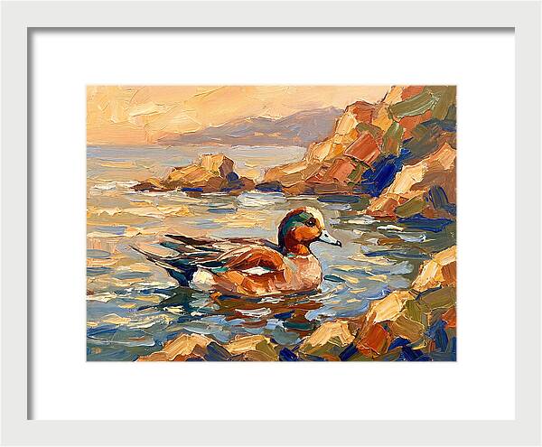 Wigeon In Mediterranean Waters