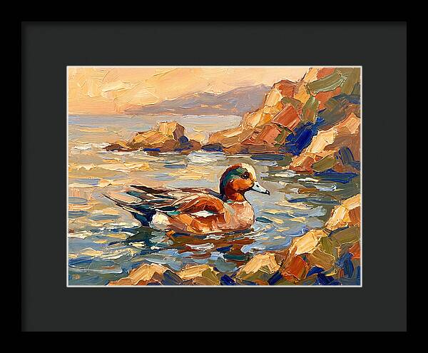 Wigeon In Mediterranean Waters