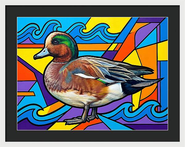 Wigeon In Vibrant Colors