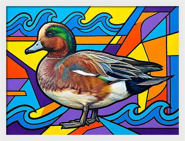 Wigeon In Vibrant Colors