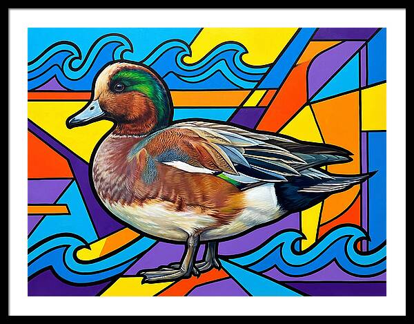 Wigeon In Vibrant Colors