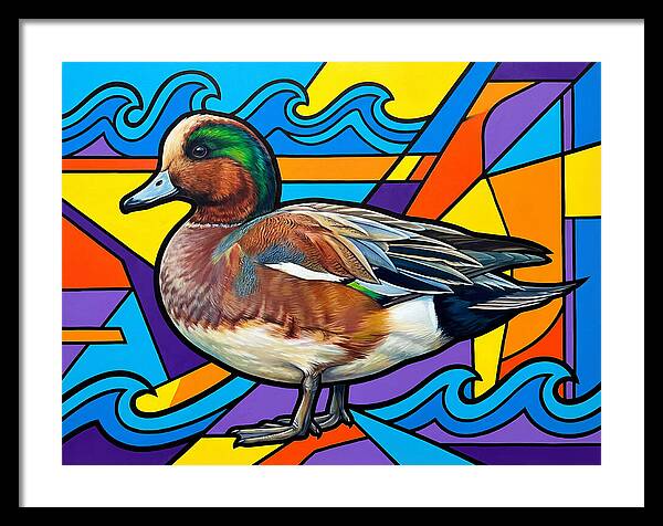 Wigeon In Vibrant Colors