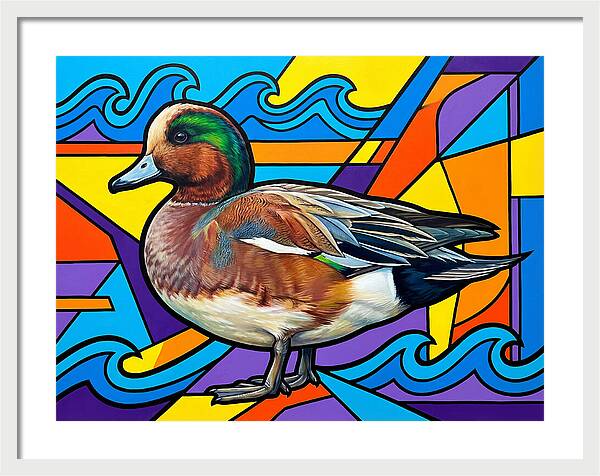 Wigeon In Vibrant Colors