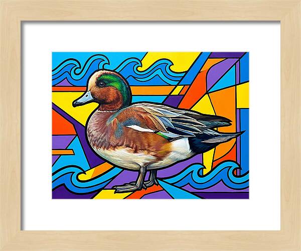 Wigeon In Vibrant Colors