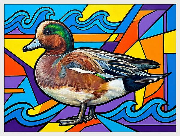 Wigeon In Vibrant Colors