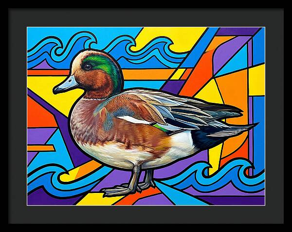 Wigeon In Vibrant Colors