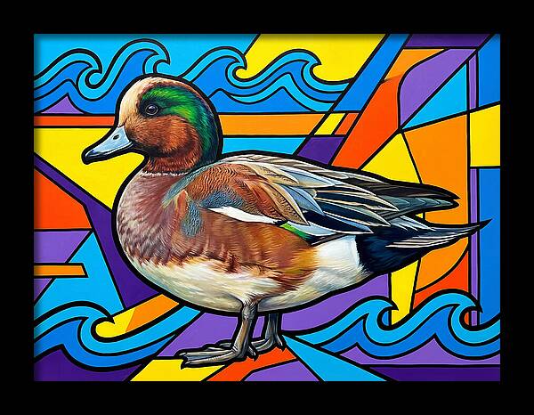 Wigeon In Vibrant Colors